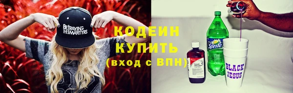 дмт Пестово