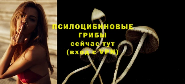 mdma Осинники
