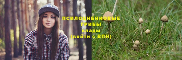 mdma Осинники