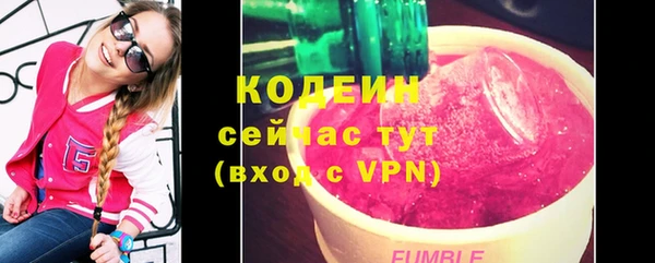 дмт Пестово