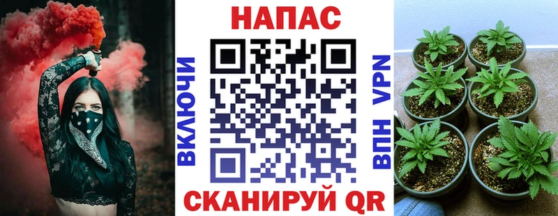 Шишки марихуана тримм  нарко площадка наркотические препараты  Зеленоградск 
